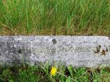 image of grave number 292415